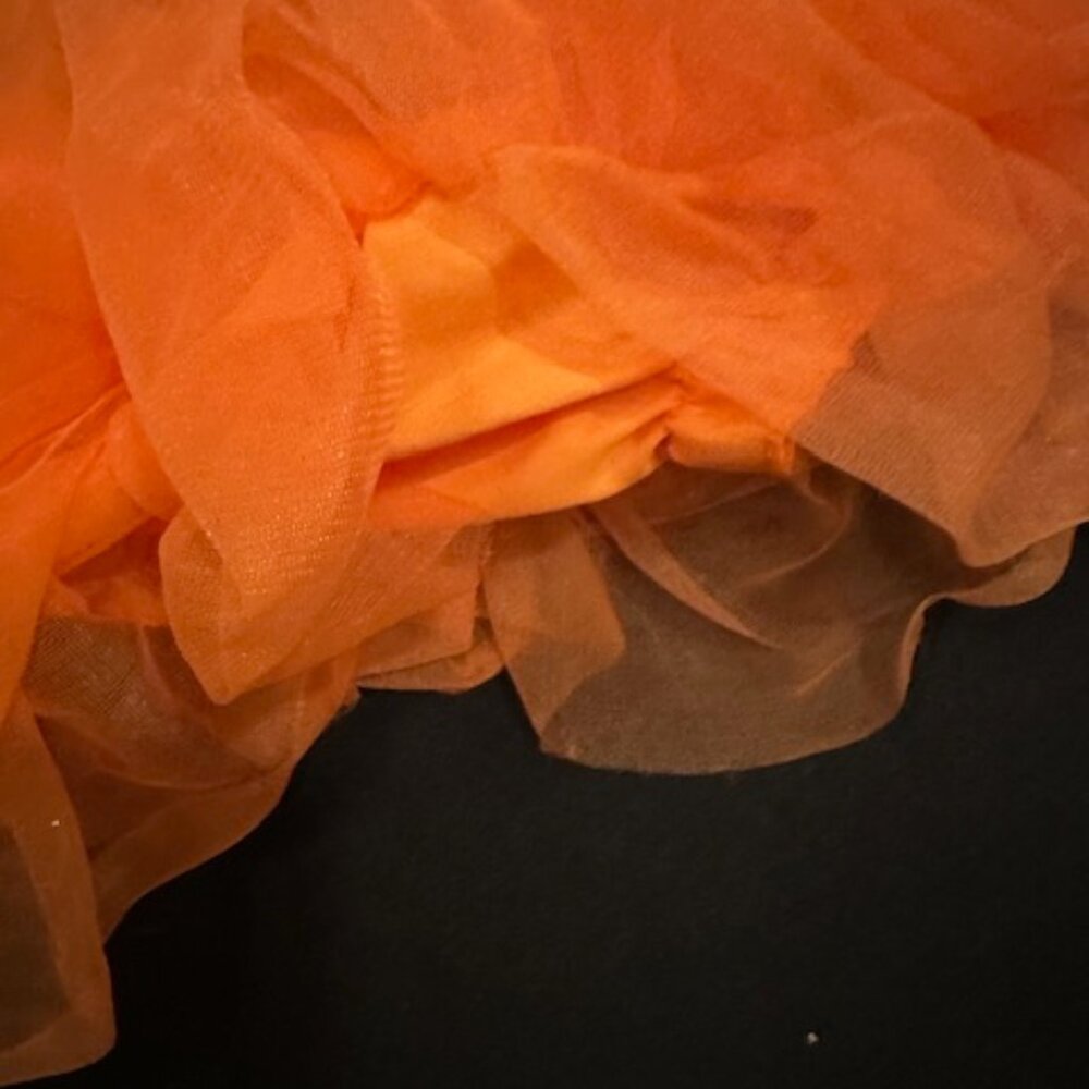 "Cutest Pumpkin in the Patch" Orange & Black Tutu Set    7398  NWT Boutique - Picture 6 of 7